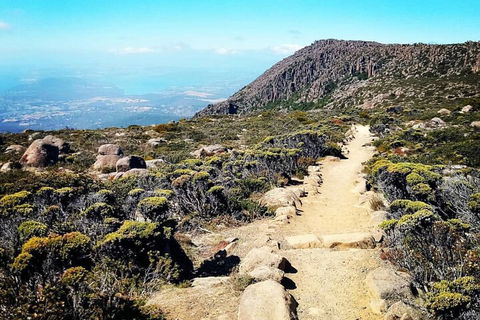 Mount Wellington Ultimate Experience Tour From Hobart - Accommodation Gold Coast 5