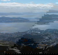 Mt Wellington Tour and MONA Admission - Accommodation Gold Coast