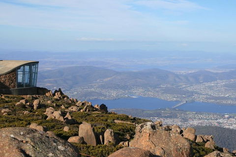 Mt Wellington Tour And MONA Admission - Accommodation Gold Coast 3