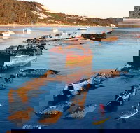 Adventure Moreton Island Wrecks Adventure Package - 1 Gold Coast