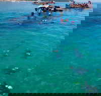 Adventure Moreton Island Scuba Dive Tour - 1 Gold Coast