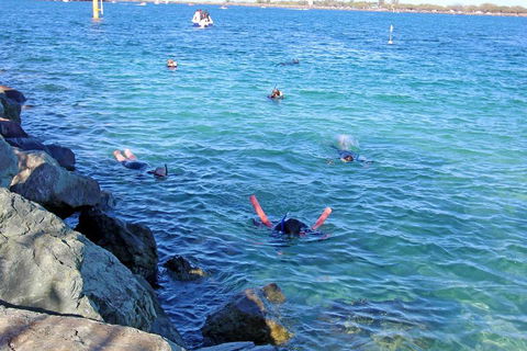 Wave Break Island Scuba Diving On The Gold Coast - Accommodation Gold Coast 1