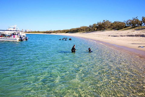 Wave Break Island Scuba Diving On The Gold Coast - Accommodation Gold Coast 4