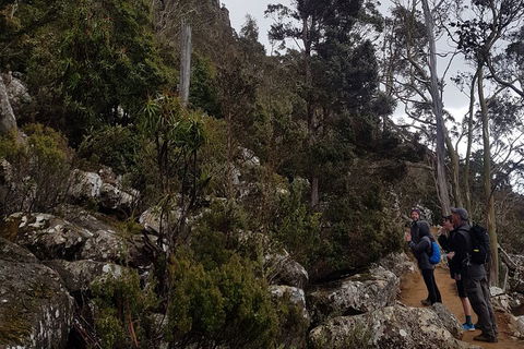 Kunanyi / Mt. Wellington Guided Hiking Tour - Accommodation Gold Coast 0
