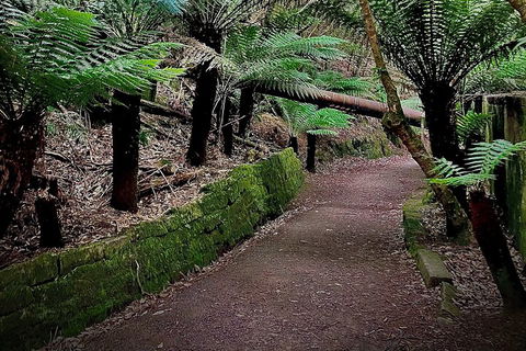 Kunanyi / Mt. Wellington Guided Hiking Tour - Accommodation Gold Coast 1