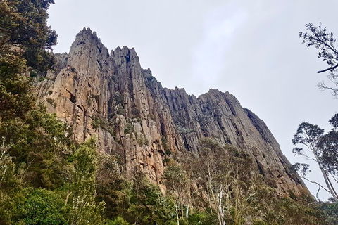 Kunanyi / Mt. Wellington Guided Hiking Tour - Accommodation Gold Coast 4