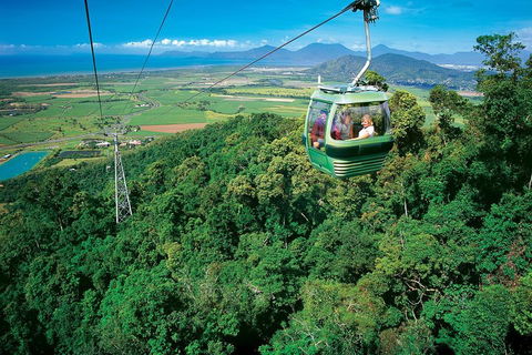 Cairns ATV Adventure Tour And Morning Skyrail - Accommodation Gold Coast 2