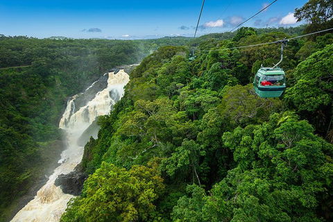 Cairns ATV Adventure Tour And Morning Skyrail - Accommodation Gold Coast 3