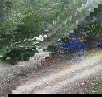 Cairns ATV Adventure Tour and Morning Train - Accommodation Gold Coast