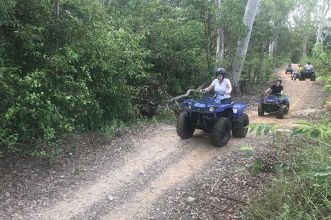Cairns ATV Adventure Tour And Morning Train - Accommodation Gold Coast 0