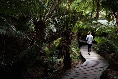Private Tour Of Melbourne - Accommodation Gold Coast 2