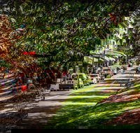 Fully Inclusive Blue Mountains Private Tour inc Scenic World  Featherdale entry - Accommodation Gold Coast
