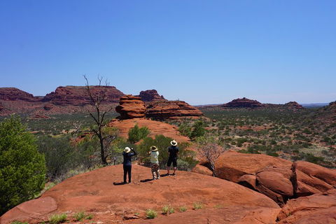 Palm Valley And Hermannsburg 1 Day 4WD Tour - 1 Gold Coast 2