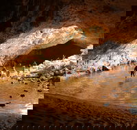 Windjana Explorer - Accommodation Gold Coast