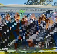 Full Day Mount Tamborine Winery Tour from Gold Coast - Accommodation Gold Coast