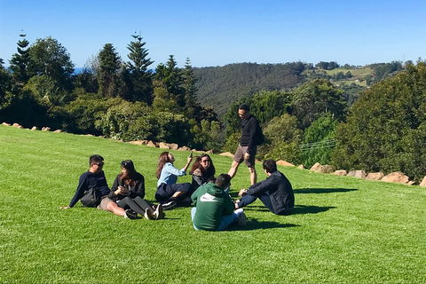 Mt Tamborine - Hinterland Wonders Self Guided - Accommodation Gold Coast 1