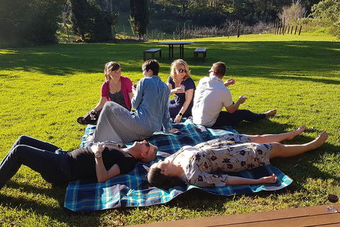 Mt Tamborine - Hinterland Wonders Self Guided - Accommodation Gold Coast 2