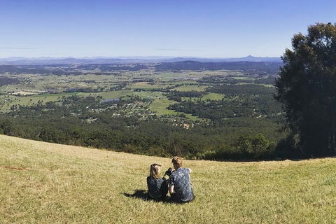 Mt Tamborine - Hinterland Wonders Self Guided - Accommodation Gold Coast 4