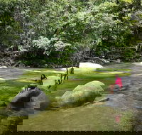 Daintree Dreaming Traditional Aboriginal Fishing from Cairns or Port Douglas - Accommodation Gold Coast