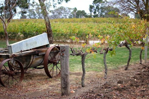 Maggie Beer Farm - Barossa Valley Regional Tour - Accommodation Gold Coast 1