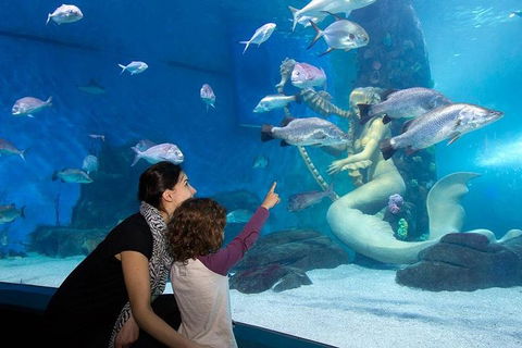 SEA LIFE Melbourne Aquarium Admission Ticket - Accommodation Gold Coast 4
