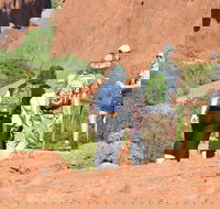 Afternoon Kata Tjuta Small Group Tour - Accommodation Gold Coast