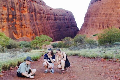 Afternoon Kata Tjuta Small Group Tour - Accommodation Gold Coast 2