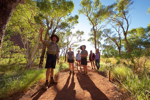 Uluru Small Group Tour Including Sunset - Accommodation Gold Coast 0