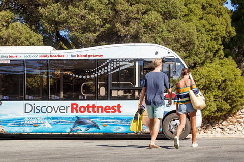 Discover Rottnest With Ferry & Bus Tour From Perth Or Fremantle - Accommodation Gold Coast 1