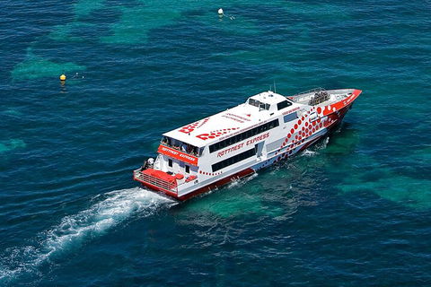 Discover Rottnest With Ferry & Bus Tour From Perth Or Fremantle - Accommodation Gold Coast 3