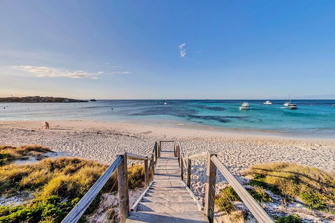 Discover Rottnest With Ferry & Bus Tour From Perth Or Fremantle - Accommodation Gold Coast 4