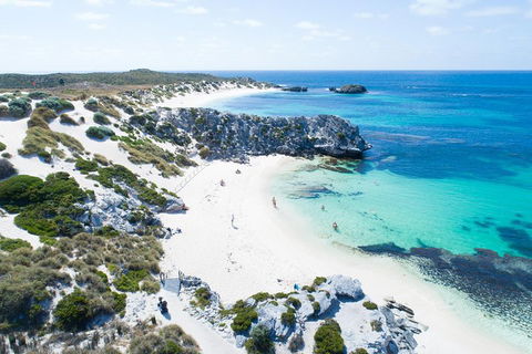 Discover Rottnest With Ferry & Bus Tour From Perth Or Fremantle - Accommodation Gold Coast 5