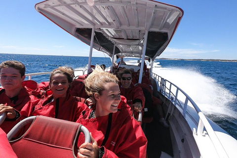 Adventure Rottnest Tour With Ferry & Adventure Cruise From Perth Or Fremantle - Accommodation Gold Coast 0