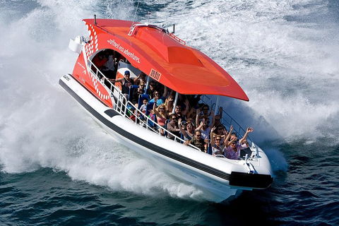 Adventure Rottnest Tour With Ferry & Adventure Cruise From Perth Or Fremantle - Accommodation Gold Coast 2