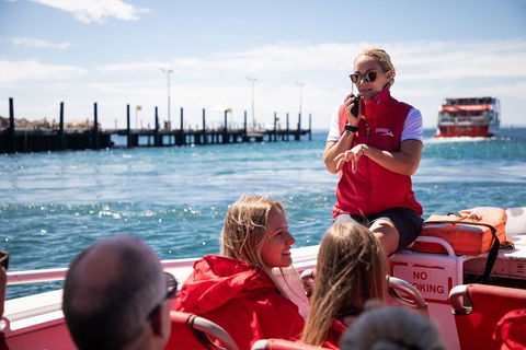 Adventure Rottnest Tour With Ferry & Adventure Cruise From Perth Or Fremantle - Accommodation Gold Coast 4