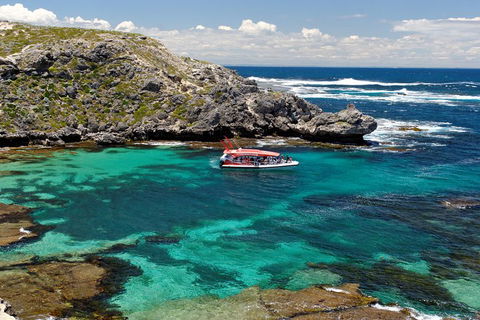 Adventure Rottnest Tour With Ferry & Adventure Cruise From Perth Or Fremantle - Accommodation Gold Coast 5