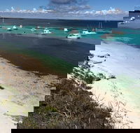Experience Rottnest with Ferry  Bike Hire from Perth or Fremantle - Accommodation Gold Coast