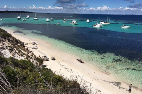 Experience Rottnest With Ferry & Bike Hire From Perth Or Fremantle - Accommodation Gold Coast 0