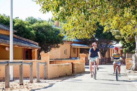 Experience Rottnest With Ferry & Bike Hire From Perth Or Fremantle - Accommodation Gold Coast 1