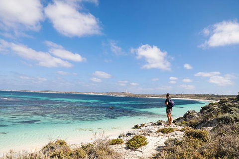 Experience Rottnest With Ferry & Bike Hire From Perth Or Fremantle - Accommodation Gold Coast 3