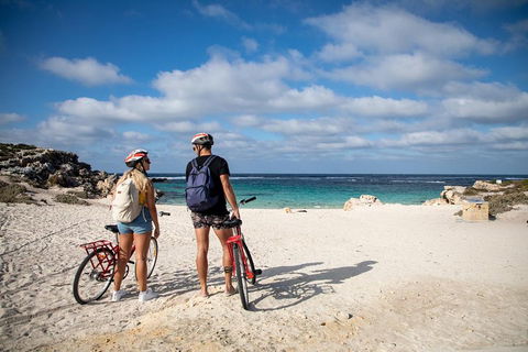 Experience Rottnest With Ferry & Bike Hire From Perth Or Fremantle - Accommodation Gold Coast 5