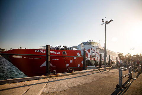 Rottnest Island Round-Trip Ferry From Perth Or Fremantle - Accommodation Gold Coast 2