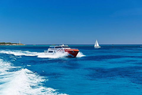 Rottnest Island Round-Trip Ferry From Perth Or Fremantle - Accommodation Gold Coast 4