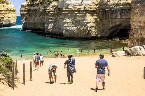 Small-Group Great Ocean Road Classic Day Tour From Melbourne - Accommodation Gold Coast 5
