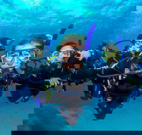 Great Barrier Reef Diving and Snorkeling Cruise from Cairns - Accommodation Gold Coast