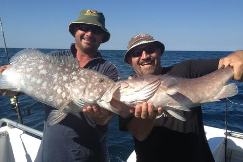 Full Day Fishing Charter - Accommodation Gold Coast 3