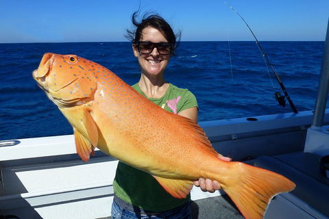Full Day Fishing Charter - Accommodation Gold Coast 4