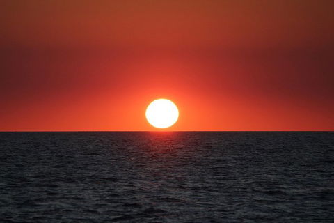 Roebuck Bay Snubfin Dolphin Cruise - Accommodation Gold Coast 3