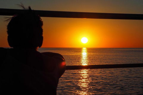 Roebuck Bay Snubfin Dolphin Cruise - Accommodation Gold Coast 4