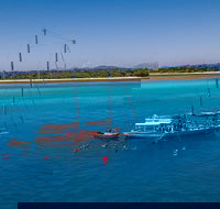 Ocean Free Green Island  Great Barrier Reef Snorkel Cruise Cairns 25 guests - Accommodation Gold Coast